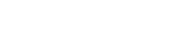 Capital Investment LLC